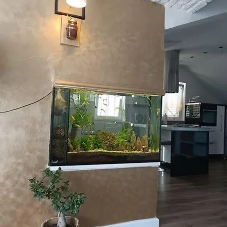 Apartamento Penthouse Bacvice