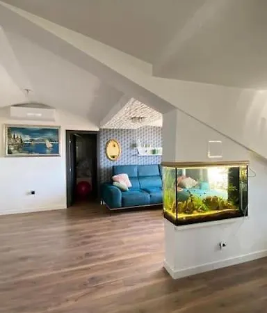 Penthouse Bacvice